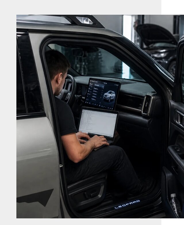 Русификация BYD Leopard 3 в Одинцове по цене от 20608 р. | ФастМобиль-Днц